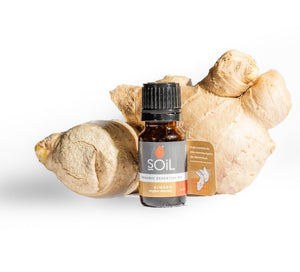 Organic Ginger Oil (Zingiber Officinale) 10ml