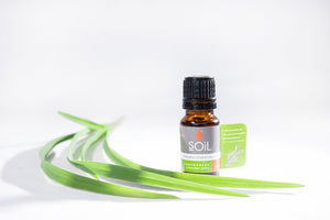 Organic Lemongrass Oil (Cymbopogon Citratus) 10ml