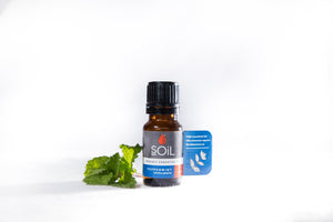 Organic Peppermint Oil (Mentha Piperita) 10ml