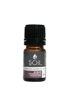 Organic Chamomile, Roman Oil (Anthemis Nobilis )